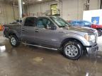 2011 Ford F150 Supercrew for Sale in Blaine, MN - Front End