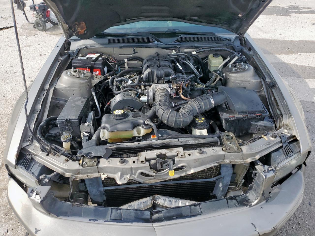 2005 Ford Mustang VIN: 1ZVFT80N355126114 Lot: 57401065