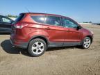 2014 Ford Escape Se იყიდება Nisku-ში, AB - Mechanical