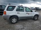 2001 Ford Escape Xls за продажба в Earlington, KY - Hail