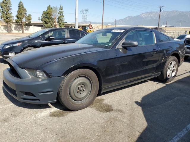  FORD ALL Models 2014 Чорний