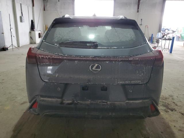  LEXUS UX 250H BA 2023 Gray