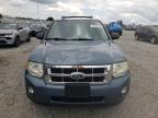 2011 Ford Escape Xlt   for Sale in Earlington, KY - Top/Roof