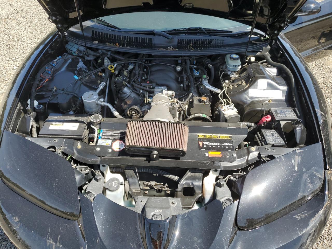 2002 Pontiac Firebird Formula VIN: 2G2FV22G522134431 Lot: 56423935
