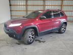 2014 Jeep Cherokee Trailhawk for Sale in Lawrenceburg, KY - Hail