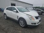 2013 Cadillac Srx Performance Collection na sprzedaż w Windsor, NJ - Front End