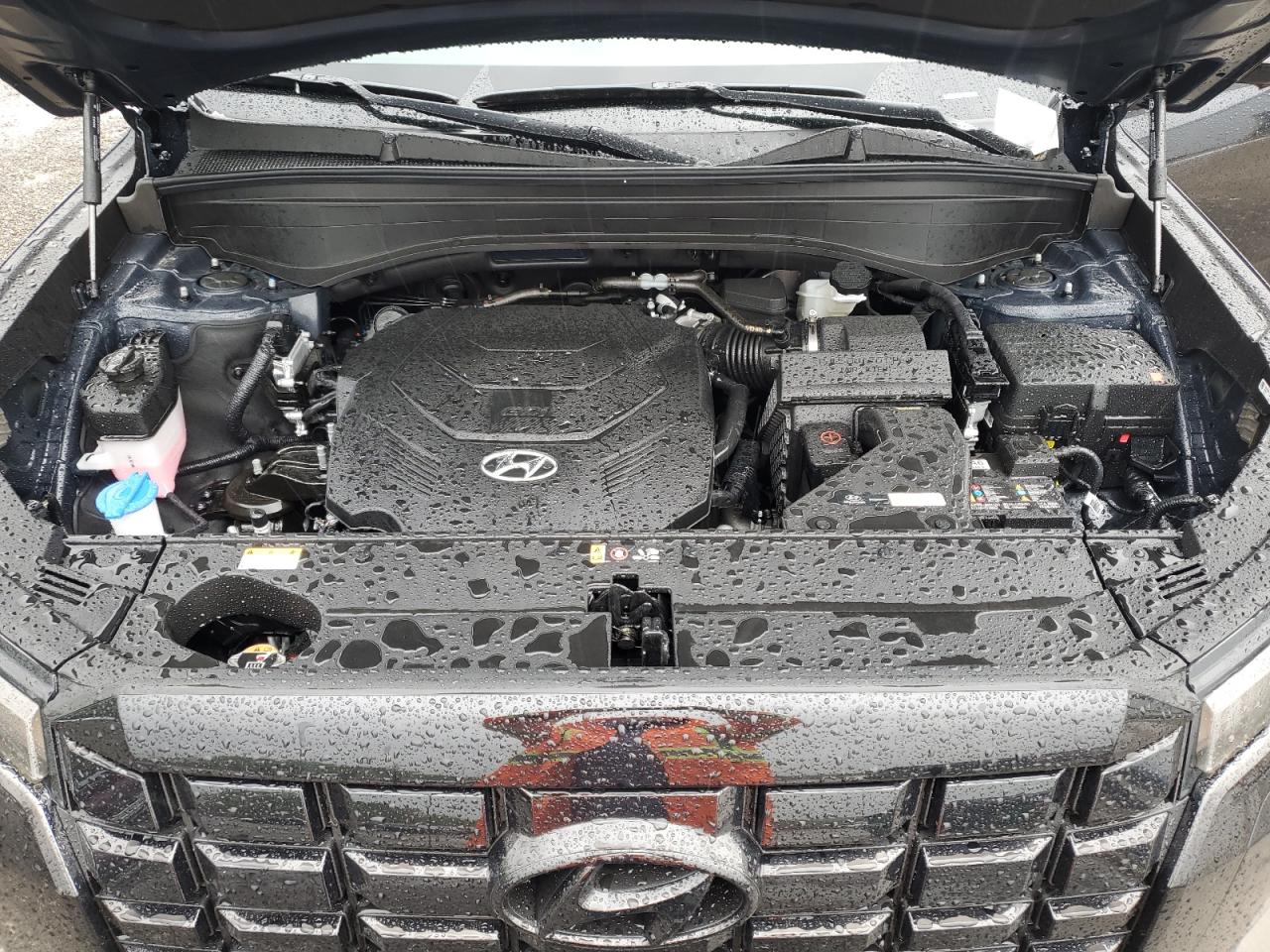 2025 Hyundai Palisade Sel Premium VIN: KM8R4DGE0SU858936 Lot: 56759855