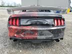 2019 Ford Mustang  for Sale in West Mifflin, PA - Burn