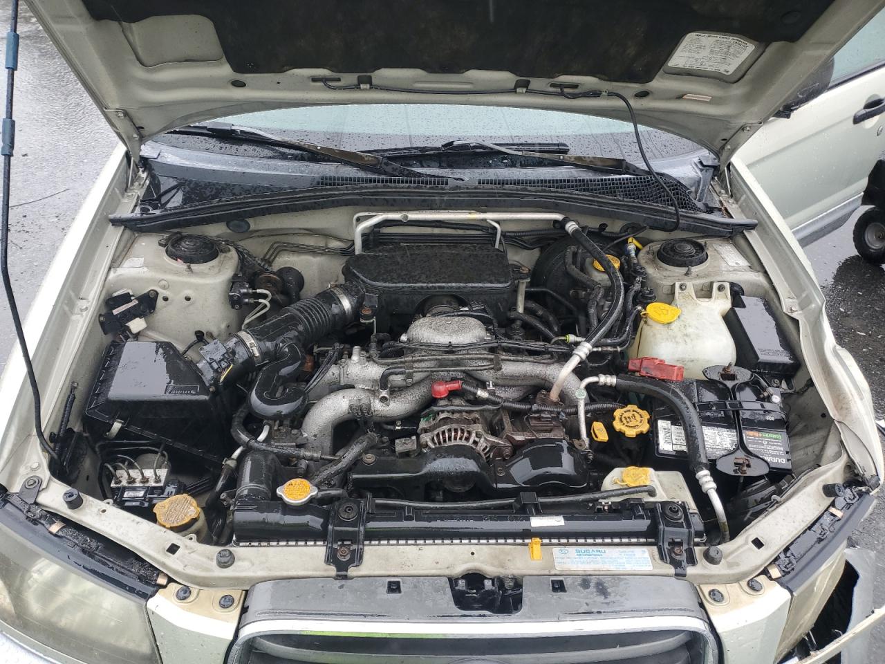2005 Subaru Forester 2.5Xs Ll Bean VIN: JF1SG67695H709316 Lot: 56542885