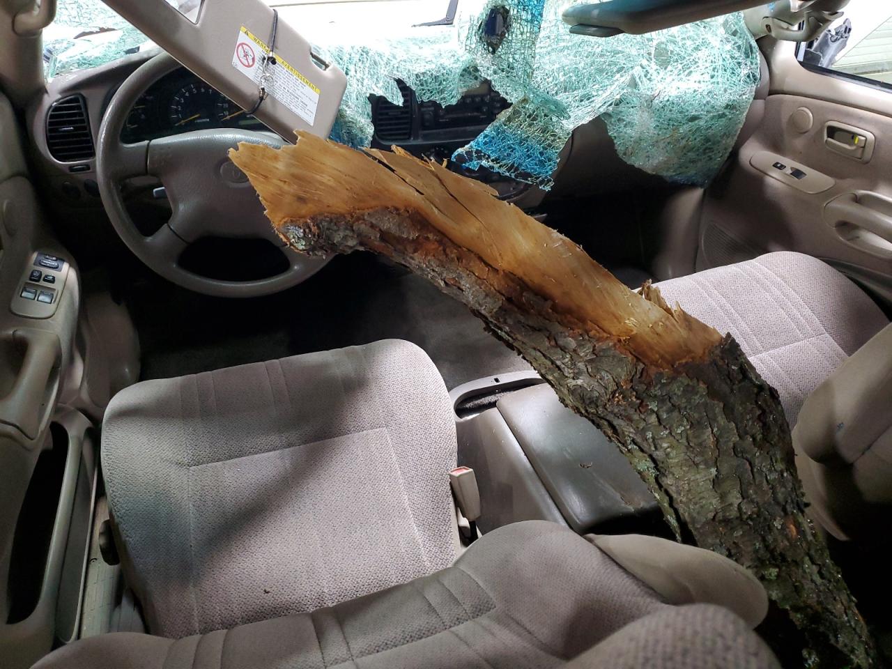 2001 Toyota Tundra Access Cab VIN: 5TBBT44131S192662 Lot: 55435915