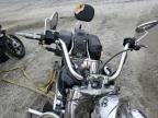 2008 Harley-Davidson Flstc  იყიდება Spartanburg-ში, SC - All Over