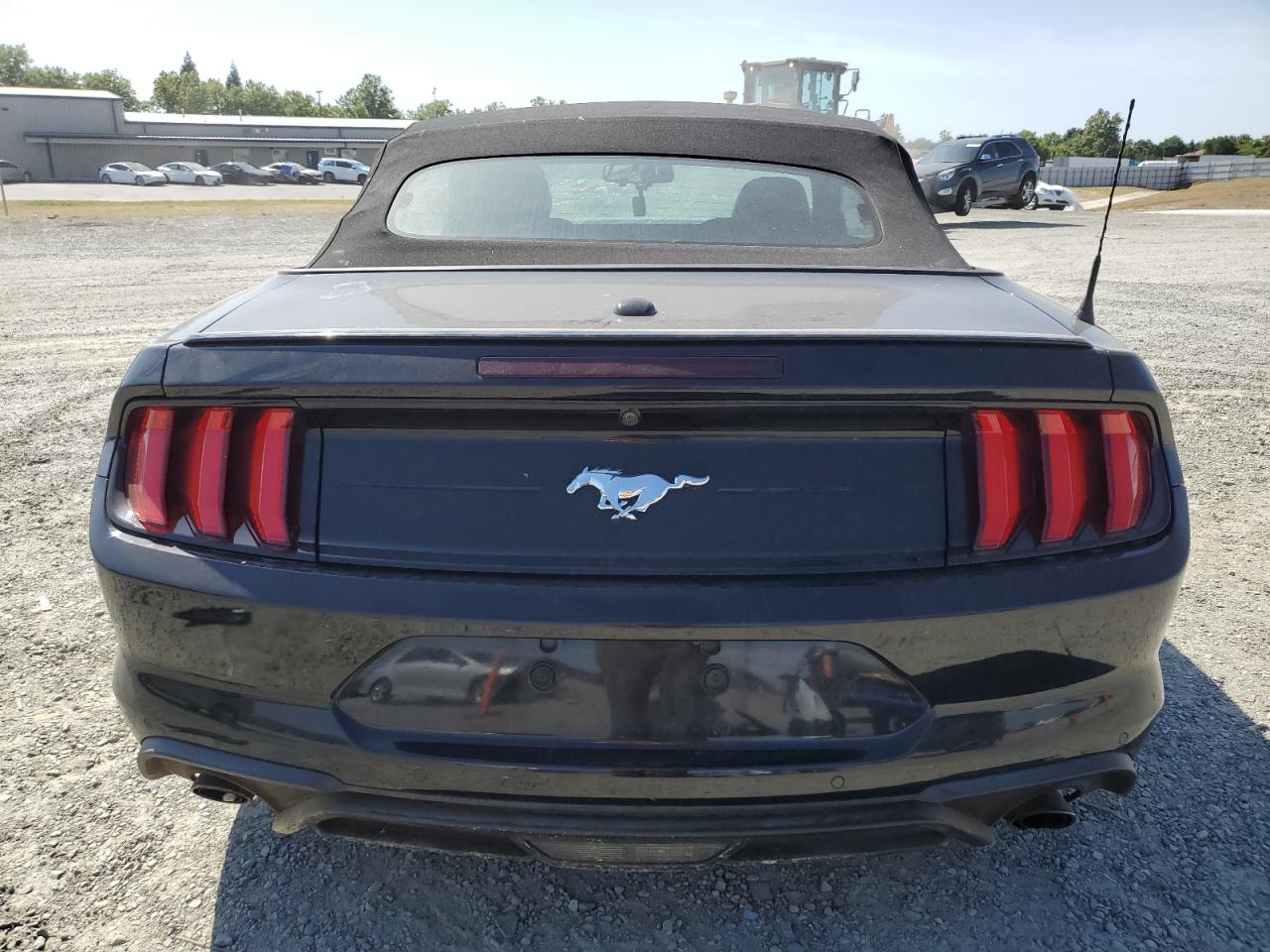 2019 Ford Mustang VIN: 1FATP8UH5K5171927 Lot: 58560785