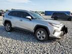 2024 Toyota Rav4 Xle en Venta en Arcadia, FL - Front End