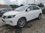 2014 Lexus Rx 350 للبيع في Columbus، OH - Partial Repair