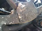 2005 Chevrolet Express G1500  for Sale in Harleyville, SC - Frame Damage