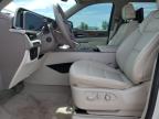 2024 CADILLAC ESCALADE SPORT PLATINUM   for sale at Copart AB - CALGARY