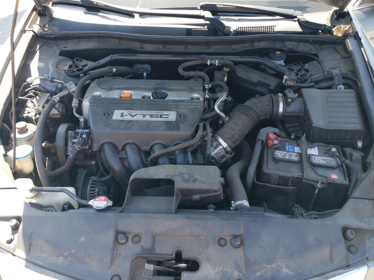 2008 Honda Accord Exl VIN: JHMCP26858C051925 Lot: 55844875