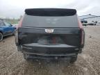 2023 Cadillac Escalade Esv Sport Platinum for Sale in Central Square, NY - Rear End