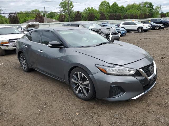  NISSAN MAXIMA 2020 Gray