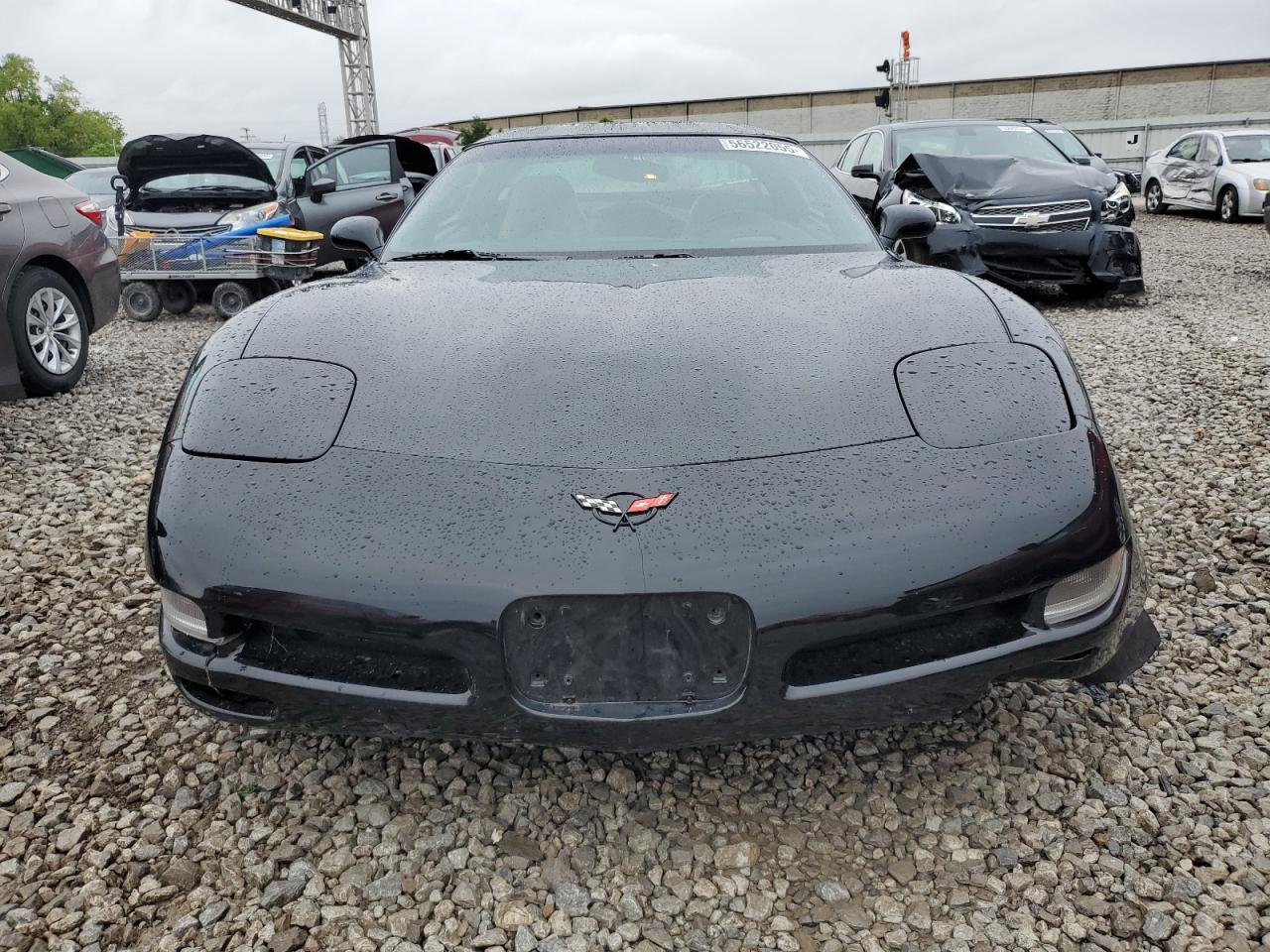 1999 Chevrolet Corvette VIN: 1G1YY22G7X5112351 Lot: 56522055
