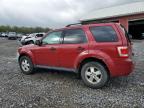 2011 Ford Escape Xlt zu verkaufen in Ebensburg, PA - Side
