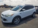 2016 Ford Escape Se de vânzare în Albuquerque, NM - Vandalism