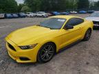 Madisonville, TN에서 판매 중인 2015 Ford Mustang  - Minor Dent/Scratches
