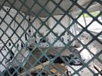 Hillsborough, NJ에서 판매 중인 2001 Ford Econoline E350 Super Duty Van - Side