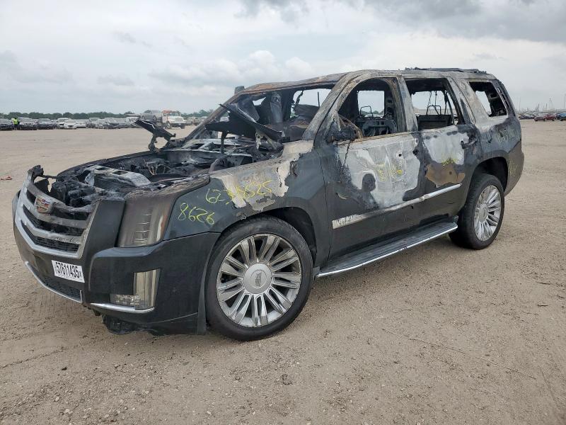 2019 Cadillac Escalade Luxury
