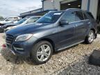 Wayland, MI에서 판매 중인 2015 Mercedes-Benz Ml 350 4Matic - Rear End