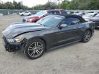 Riverview, FL에서 판매 중인 2017 Ford Mustang  - Front End