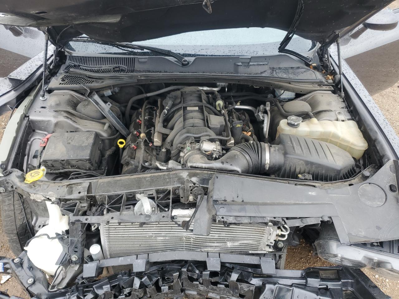 2021 Dodge Challenger R/T VIN: 2C3CDZBT8MH641335 Lot: 58398095
