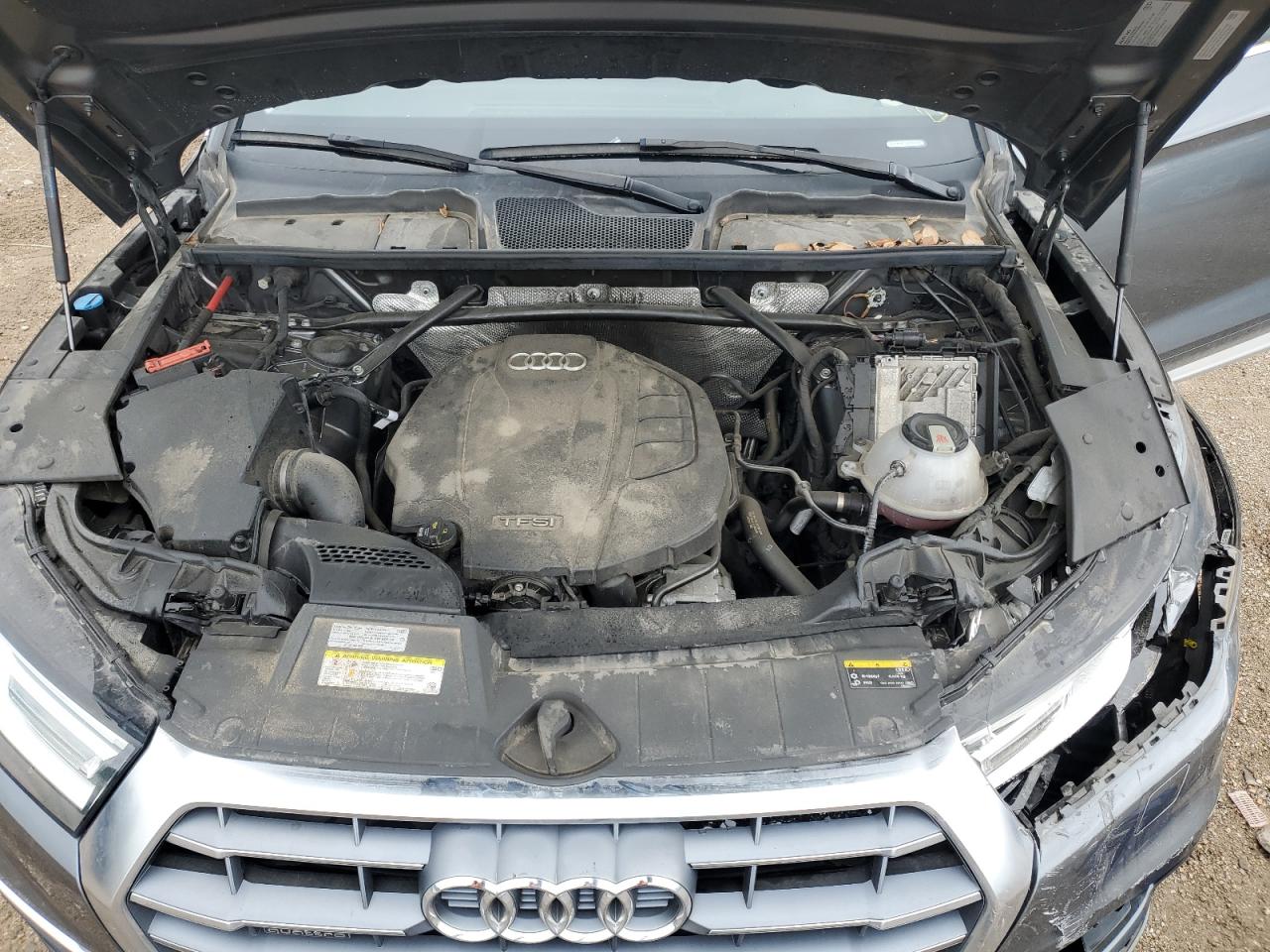 2019 Audi Q5 Premium VIN: WA1ANAFY0K2123808 Lot: 57593965