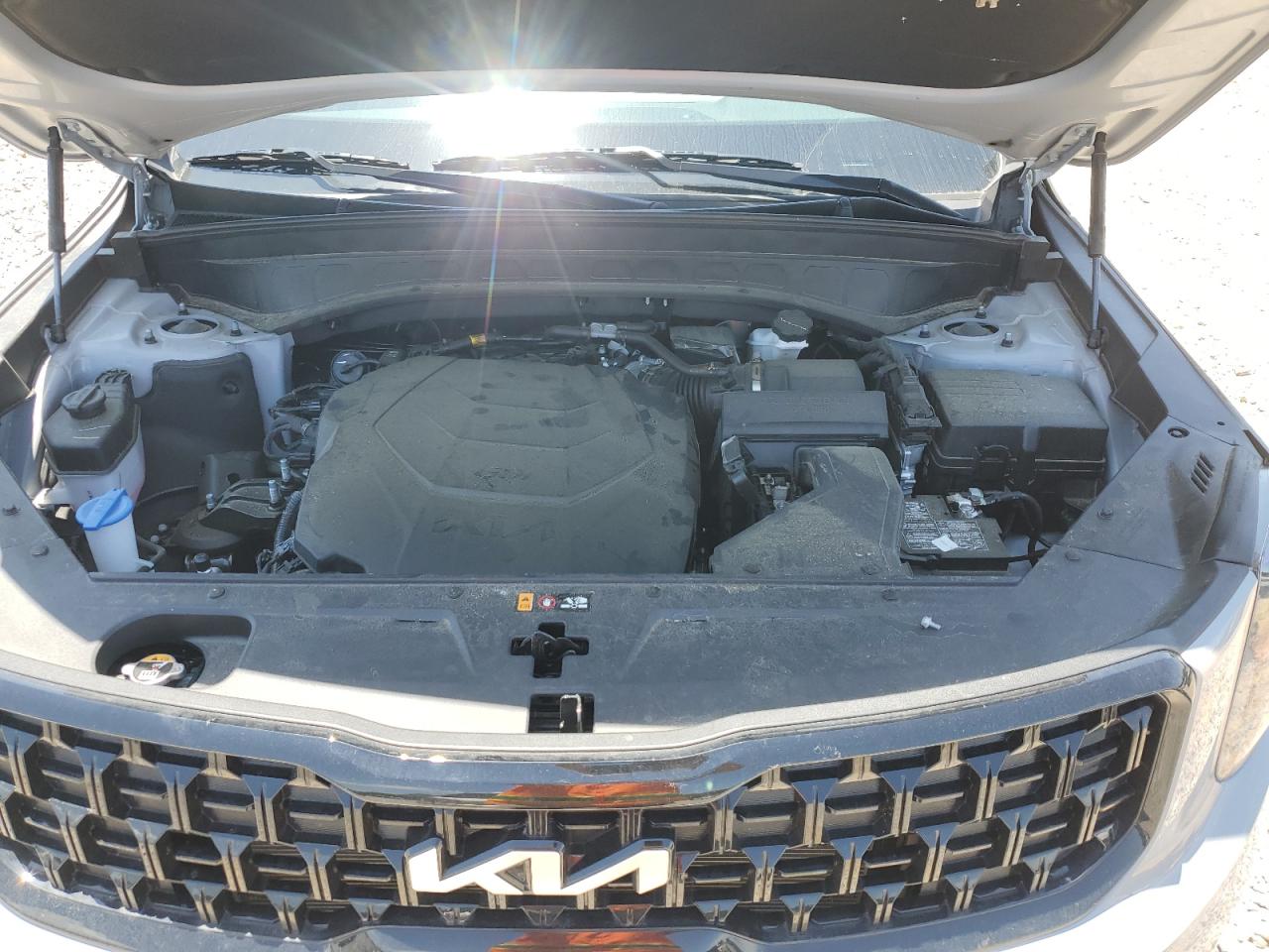 2024 Kia Telluride Ex VIN: 5XYP3DGC6RG476371 Lot: 56836845