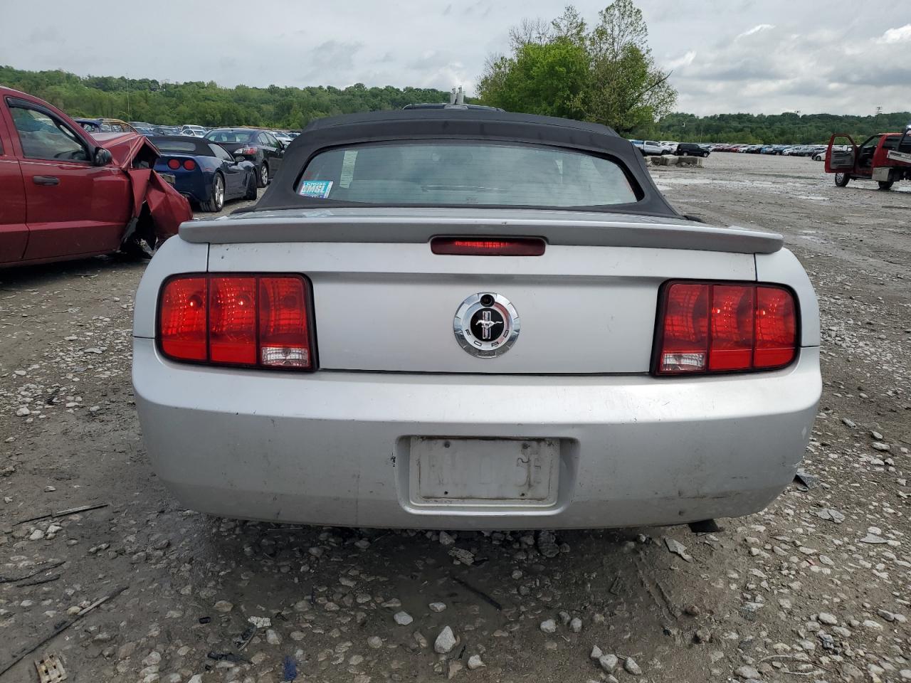 2008 Ford Mustang VIN: 1ZVHT84N385176843 Lot: 55793655