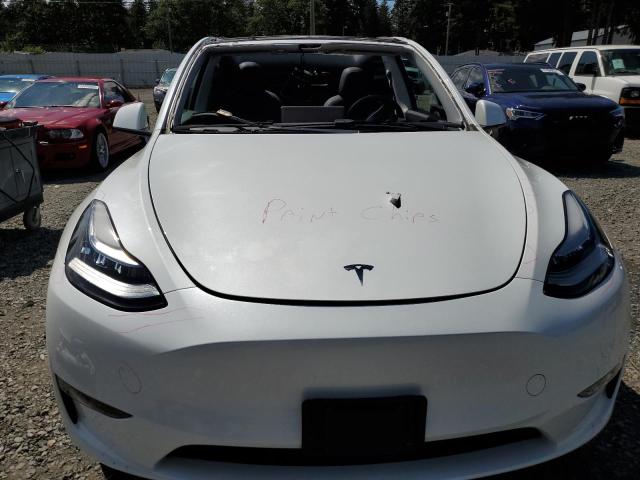  TESLA MODEL Y 2023 Biały