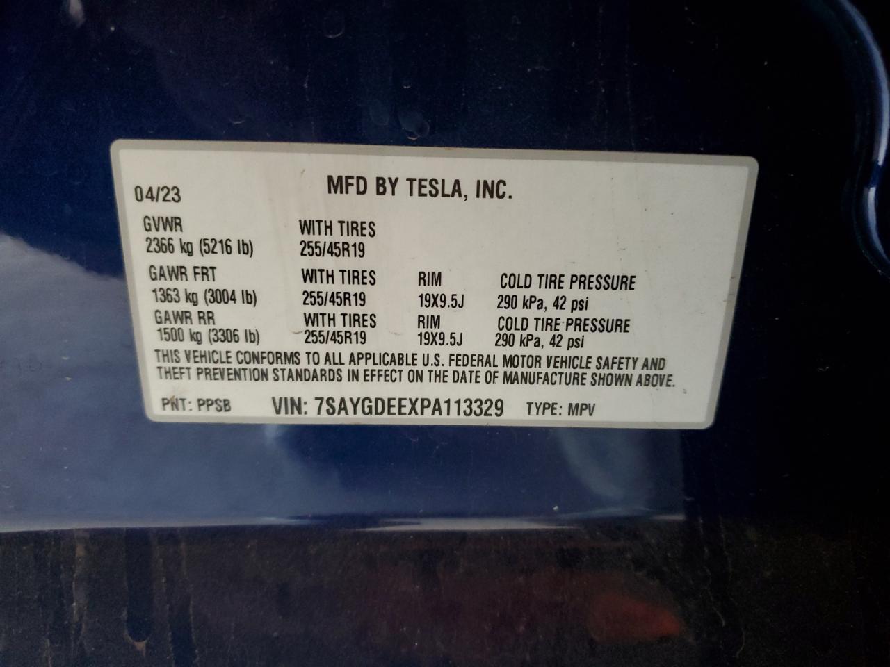 2023 Tesla Model Y VIN: 7SAYGDEEXPA113329 Lot: 56982025