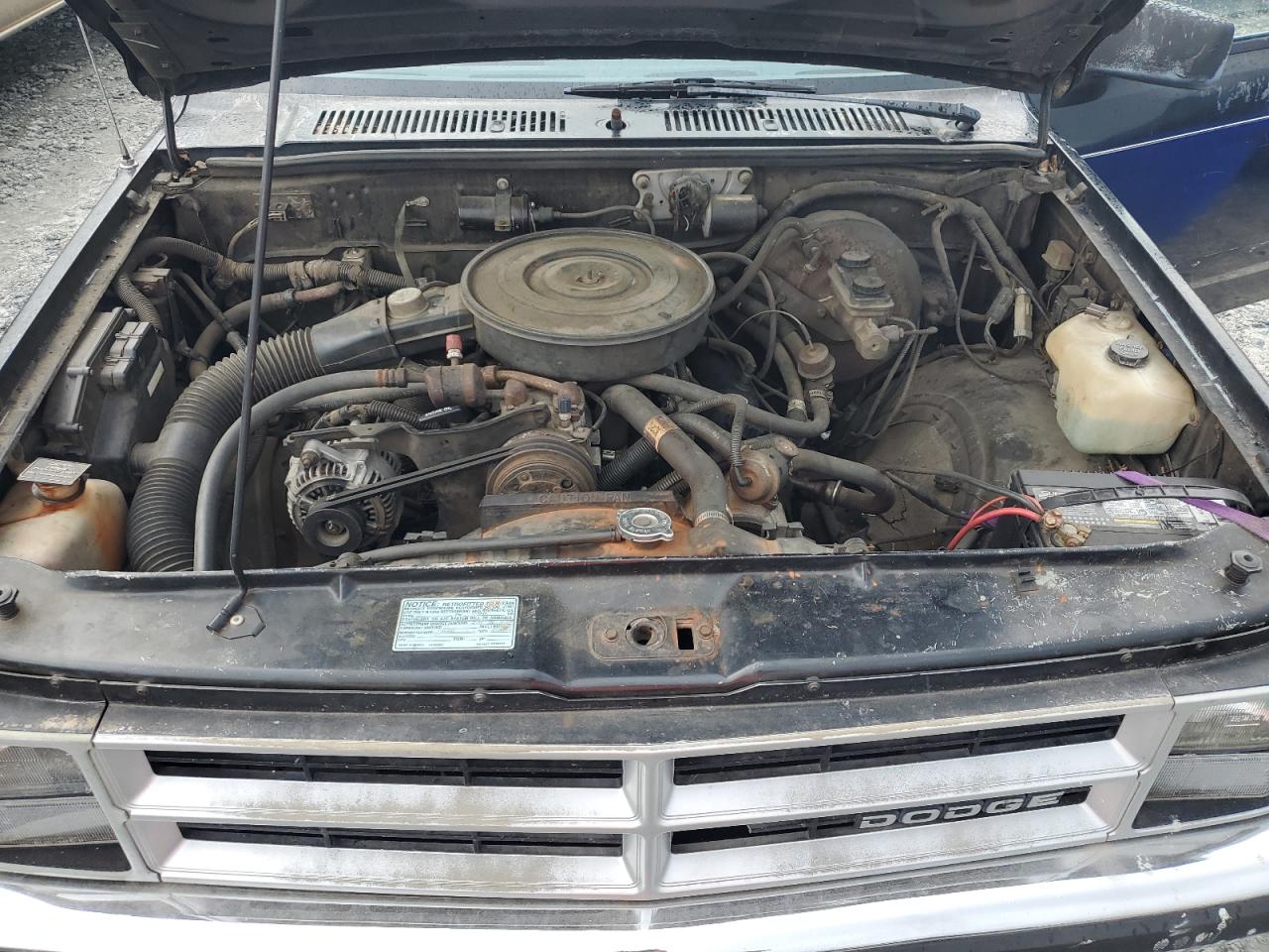 1990 Dodge Dakota VIN: 1B7FL26X8LS737490 Lot: 56342535