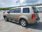 2011 Honda Pilot Exl na sprzedaż w Grantville, PA - Front End