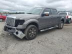 2010 Ford F150 Supercrew for Sale in Fredericksburg, VA - Front End