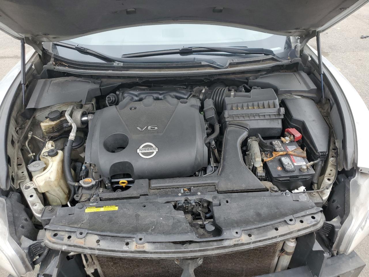 2009 Nissan Maxima S VIN: 1N4AA51E19C852044 Lot: 56112325