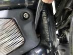 2013 HARLEY-DAVIDSON VRSCDX NIGHT ROD SPECIAL   a la Venta en Copart TX - DALLAS