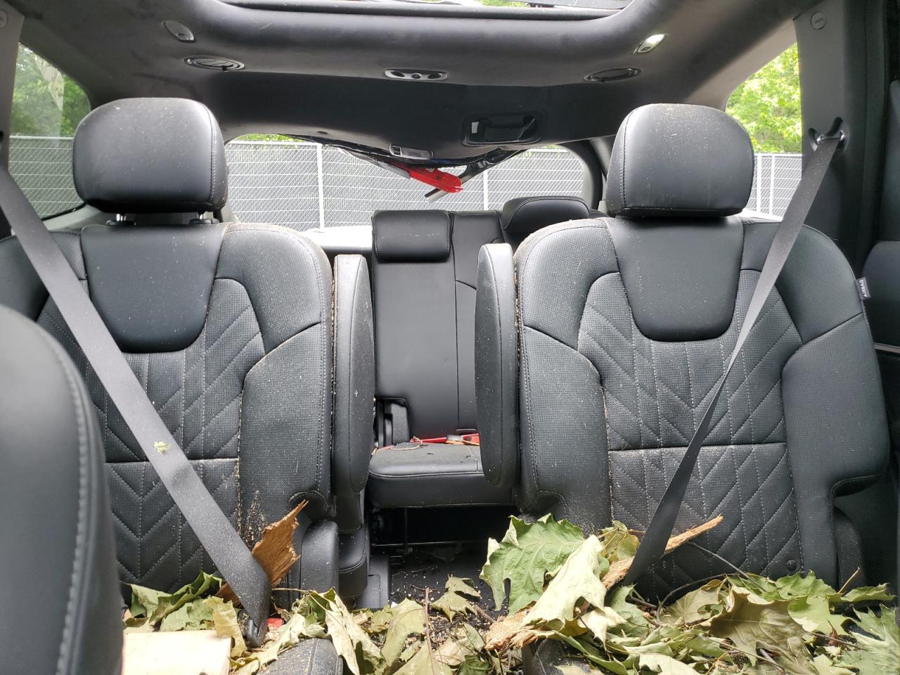 2024 Kia Telluride Sx VIN: 5XYP5DGC1RG494352 Lot: 58260515