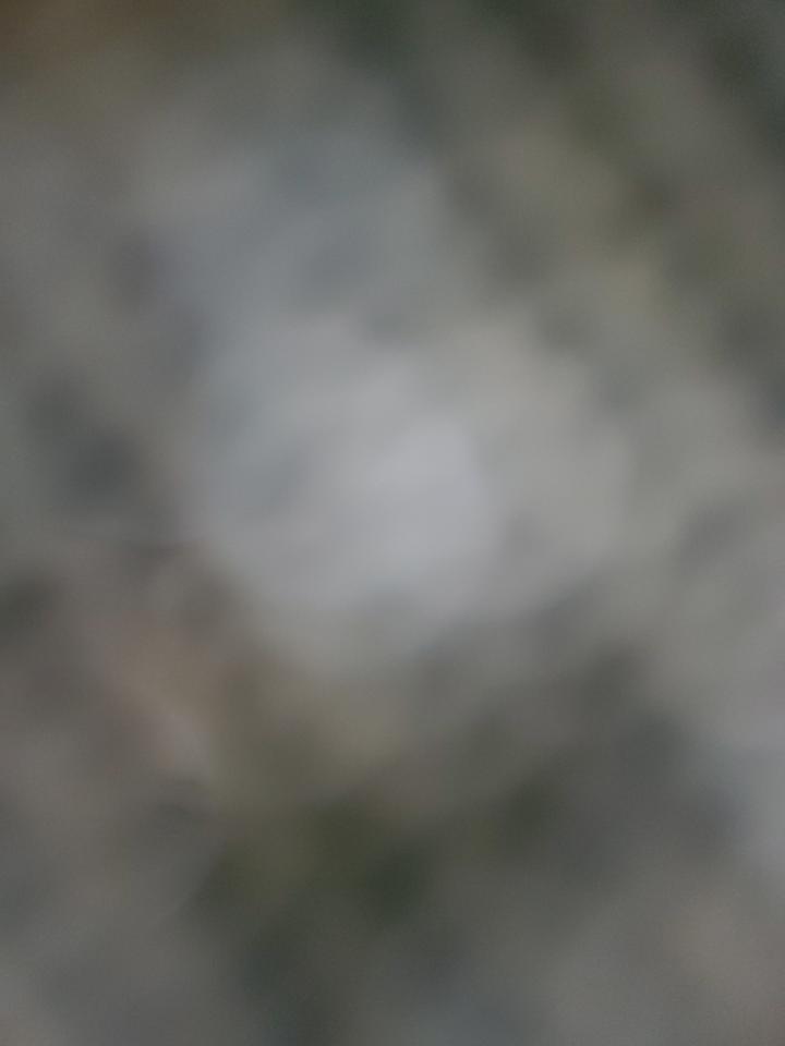 2013 Kia Sorento Lx VIN: 5XYKT4A60DG384310 Lot: 57328145