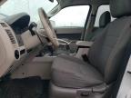 2010 Ford Escape Hybrid for Sale in Elgin, IL - Rear End
