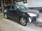 2011 Honda Cr-V Exl for Sale in Albany, NY - Front End
