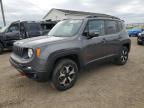 2020 Jeep Renegade Trailhawk   for Sale in Portland, MI - Rear End