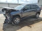 2021 Toyota Rav4 Le იყიდება Jacksonville-ში, FL - Front End