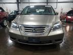 2010 Honda Odyssey Exl zu verkaufen in Ham Lake, MN - Rear End