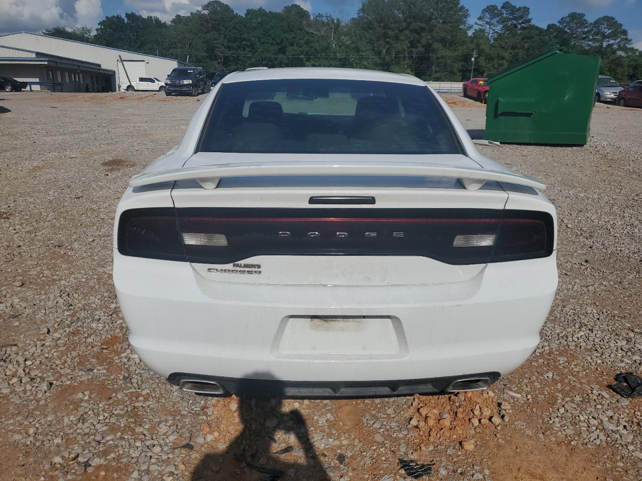 2013 Dodge Charger Se VIN: 2C3CDXBG4DH537030 Lot: 55504905